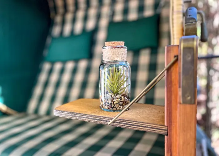 Hanse-haus 04 דירה בולטנהאגן